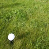 lampa-ogrodowa-wbijana-kula-10-cm-led-solarna-biala-z-czujnikiem-ecolight-srednica-szerokosc-10-cm