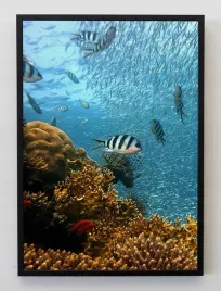 plakat-bez-ramy-a4-21x30-jmp-morze-05