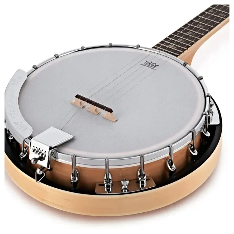 tanglewood-twb18m5-banjo