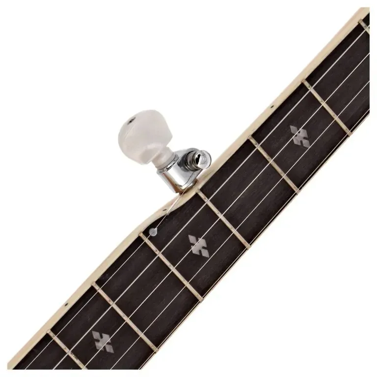 tanglewood-twb18m5-banjo