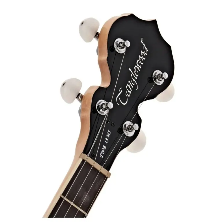 tanglewood-twb18m5-banjo-stan-nowy