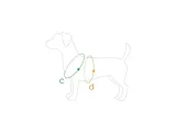 amiplay-szelki-regulowane-discovery-behappy-s-donut-cechy-dodatkowe-bezuciskowe-elementy-odblaskowe