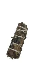 czarna-szalwia-10-cm