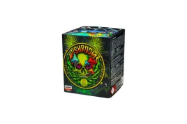 mushrooms-houbicky-16s-c1625g-f2-12-1