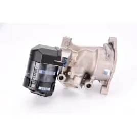 zawor-egr-delphi-eg10396-12b1