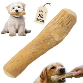 nuxie-patyk-z-drzewa-kawowego-xl-24cm-kawowca-100percent-naturalny-gryzak-dla-psa