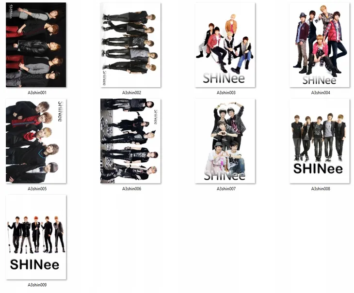 plakat-a3-shinee-do-wyboru-stan-nowy