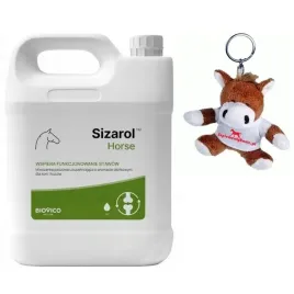 sizarol-complex-horse-2l-breloczek-konik