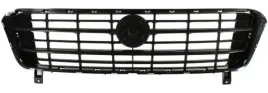 atrapa-grill-fiat-ducato-06-14-