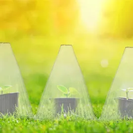 miniszklarenka-22-cm-x-19-cm-tworzywo-sztuczne