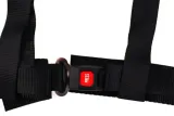 pasy-sportowe-4p-2-d1spec-black-producent-czesci-d1-spec