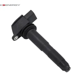 cewka-zaplonowa-porsche-cayenne-v8