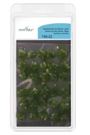 mininatur-tuft-lato-z-duzym-kamieniami