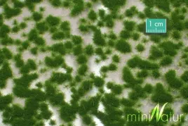 mininatur-tuft-krotka-letnia-trawa-15x4-cm