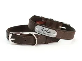 obroza-dla-psa-z-identyfikatorem-dbrown-rozmiar-m