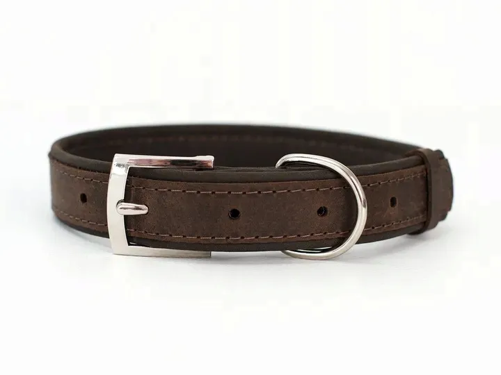 obroza-dla-psa-z-identyfikatorem-dbrown-rozmiar-m