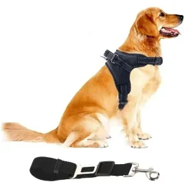 szelki-dla-psa-smycz-bezuciskowe-czarne-rozmiar-l-buldog-pinczer-shiba