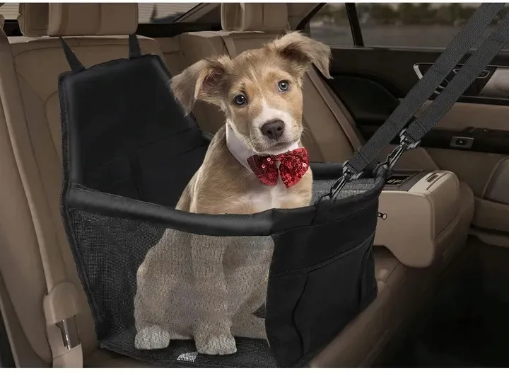 fotelik-samochodowy-kojec-do-samochodu-dla-psa-szerokosc-1-cm
