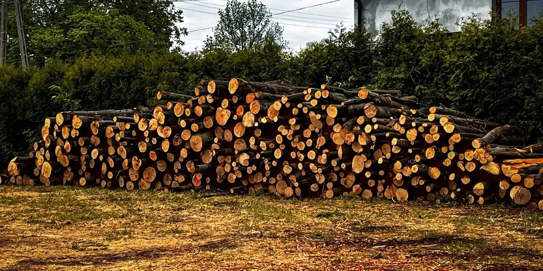 drewno-opalowe-do-kominka-pieca-drewno-kominkowe-33cm-dab-paleta-1mp-800-kg