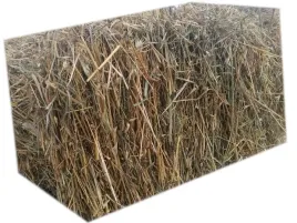 sloma-owsiana-do-budy-dla-kur-wysciolka-5kg
