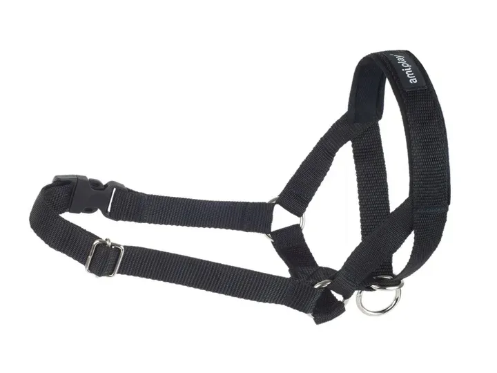 amiplay-obroza-uzdowa-halter-basic-m-czarna