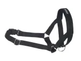 amiplay-obroza-uzdowa-halter-basic-m-czarna
