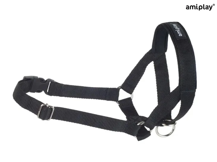 amiplay-obroza-uzdowa-halter-basic-m-czarna