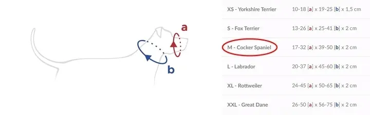 amiplay-obroza-uzdowa-halter-basic-m-czarna