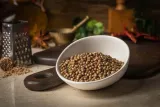 kolendra-grys-200g-premium-stan-opakowania-oryginalne