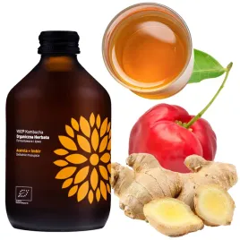 kombucha-acerola-imbir-bio-fermentowana-herbata-warzona-z-superfoods-330ml