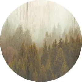 fototapeta-samoprzylepna-okragla-naklejka-scienna-jesienny-mglisty-las