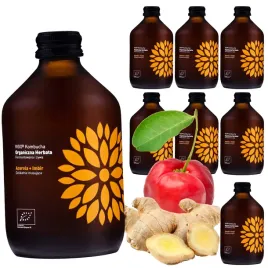 kombucha-acerola-imbir-bio-fermentowana-herbata-warzona-z-superfoods-330ml