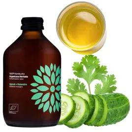 kombucha-ogorek-kolendra-bio-fermentowana-herbata-warzona-z-superfoods
