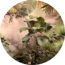 fototapeta-samoprzylepna-okragla-naklejka-scienna-liscie-palmy-paprotki