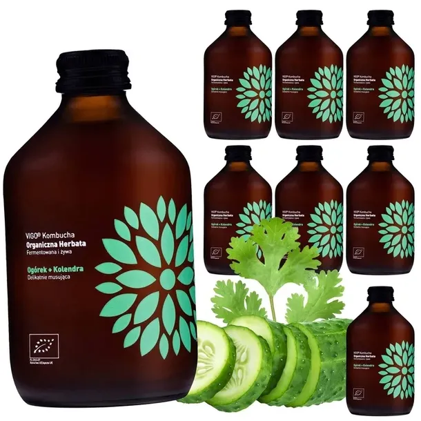 Kombucha Ogórek Kolendra VIGOBIO 330ml 8szt zestaw