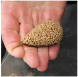 zestaw-drennan-in-line-flat-method-feeder-35g-large-waga-35-g