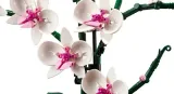 lego-creator-orchidea-10311-bohater-inny