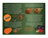 zestaw-drennan-flat-method-feeder-small-15g-kod-producenta-tfffbs15