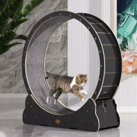 canadian-cat-or-bieznia-dla-kota-l-or-black-edition-or-czarna