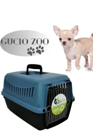 transporter-mp-bergamo-xs-niebieski