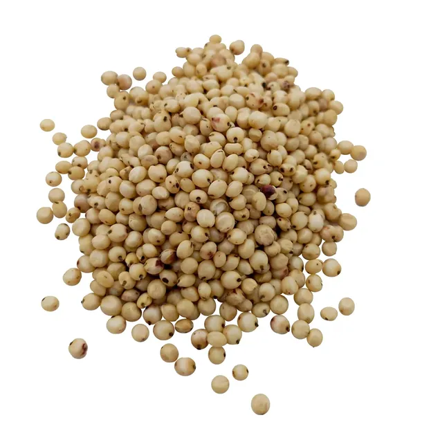 sorgo-biale-1kg-ziarno-postac-sypka
