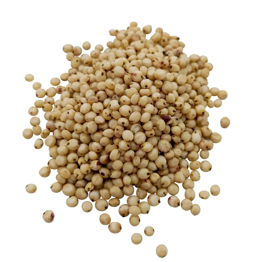 sorgo-biale-1kg-ziarno
