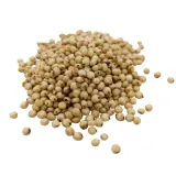 sorgo-biale-1kg-ziarno-rodzaj-kasza-sorgo