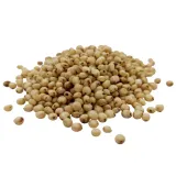 sorgo-biale-1kg-ziarno-cechy-dodatkowe-bez-laktozy-niski-indeks-glikemiczny-niskotluszczowe-weganskie-wegetarianskie-wysoka-zawartosc-blonnika-wysokobialkowe