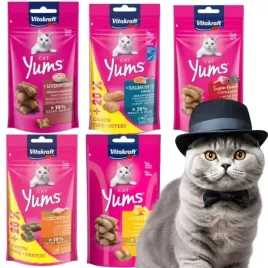przysmak-dla-kota-smakolyki-mix-smakow-ciastka-vitakraft-cat-yums-10x-40g