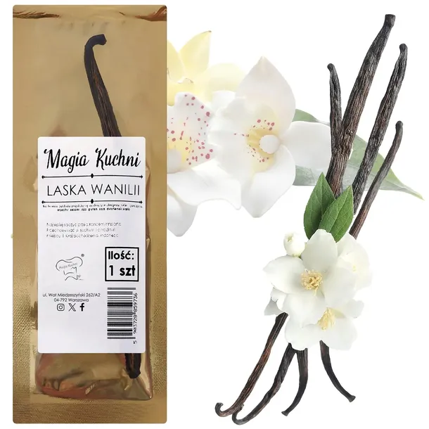 Laska Wanilii 14-16cm Laski Wanilii - 1 szt