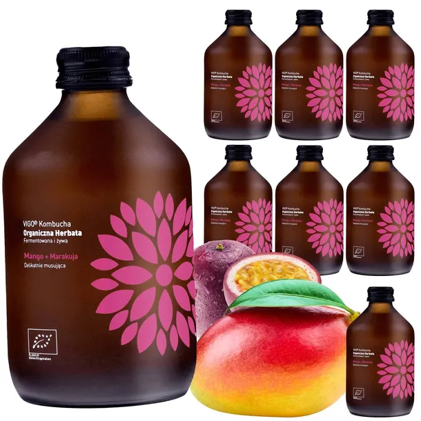 Kombucha Mango Marakuja VIGO BIO 330 ml