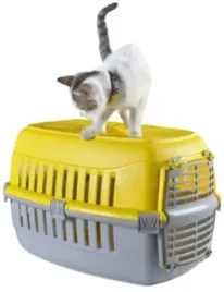 sredni-transporter-dla-kota-psa-kolory-50x30x30are-rozne-kolory