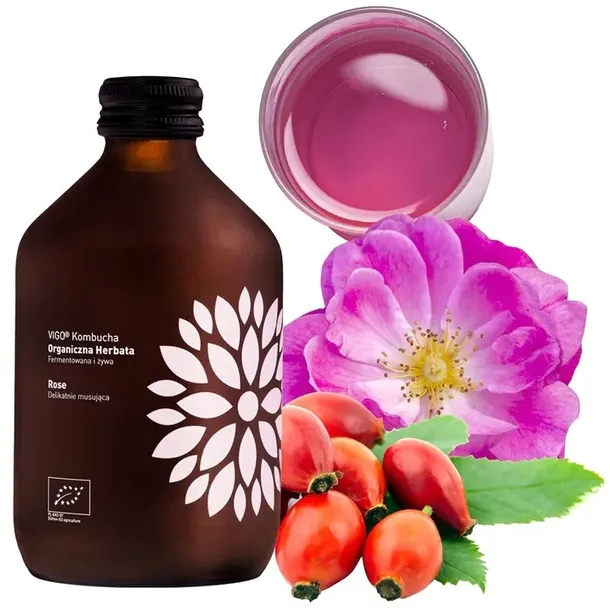 Kombucha Vigo Rose BIO 330 ml