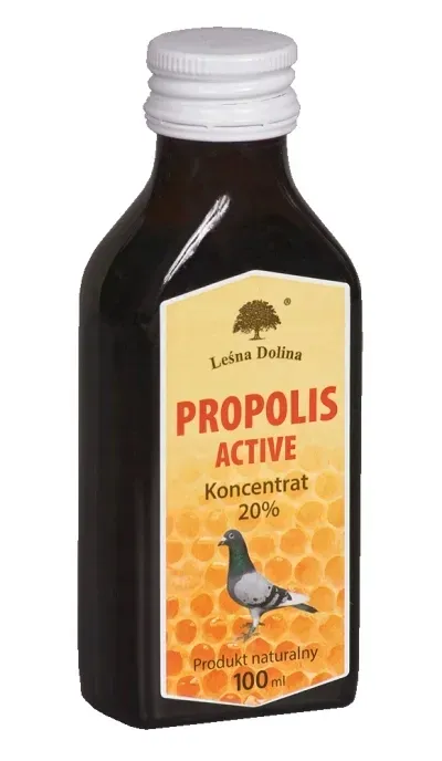 lesna-dolina-propolis-active-100-ml-dla-golebi